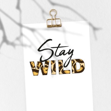 Stay Wild