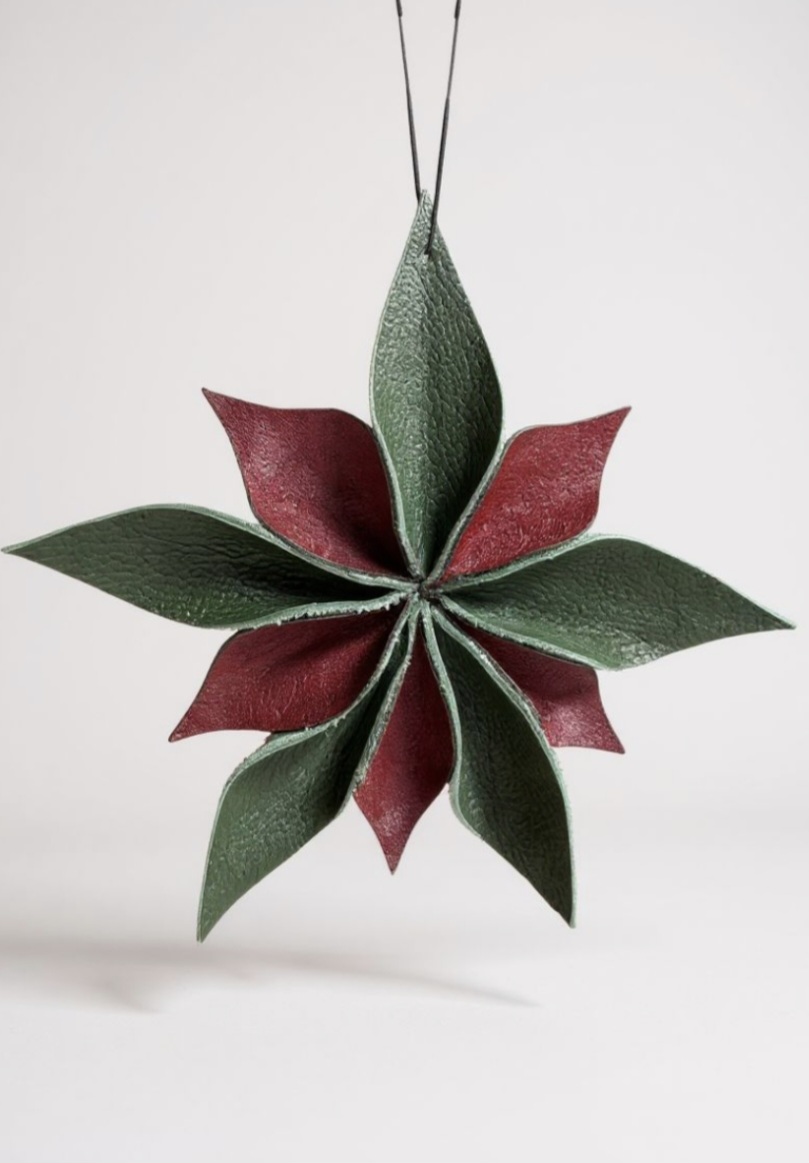 DIY Kerst ster. - Afbeelding 2