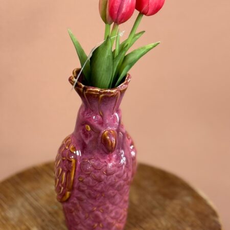 Vaas Papegaai! - Roze