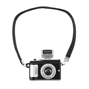 Hanger camera.